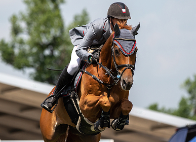 Understanding Horse Behavior and Communication