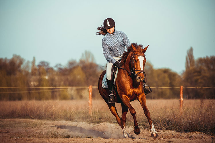 Premium Leather Saddle