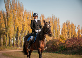 Professional Horse Training