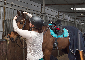 Horse Boarding & Care